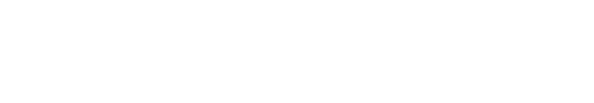 raybet在线官网logo